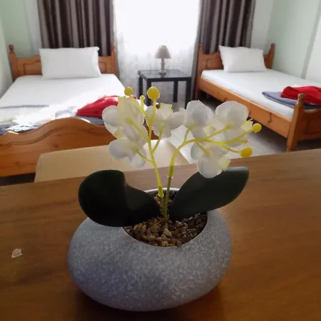 Fanis Apartment *